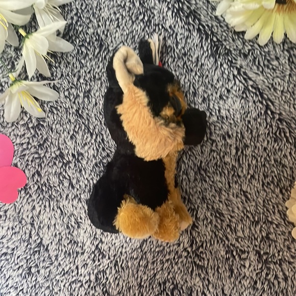 This is a beanie boo! she’s a small little dog that loves to play! - Picture 2 of 6